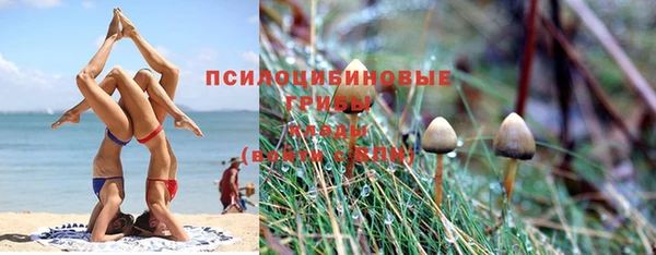 тгк Баксан